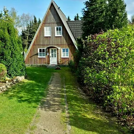 Heidekaefer Ferienhaus Eichhoernchen